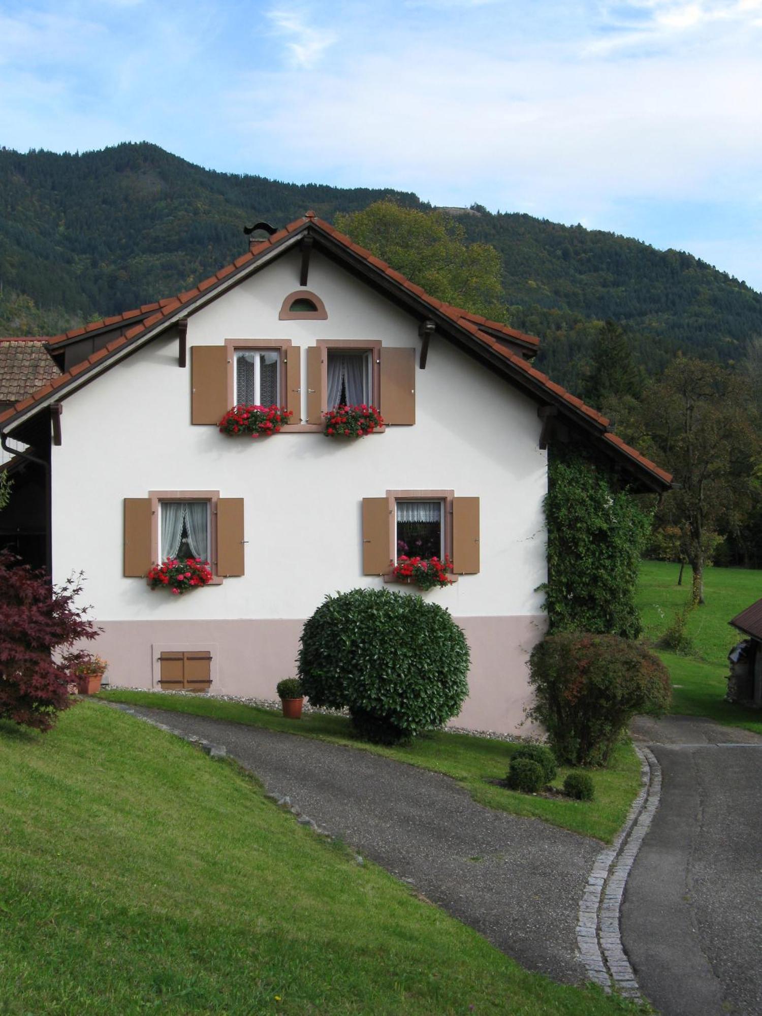 Wohnung Irene Todtnau Esterno foto