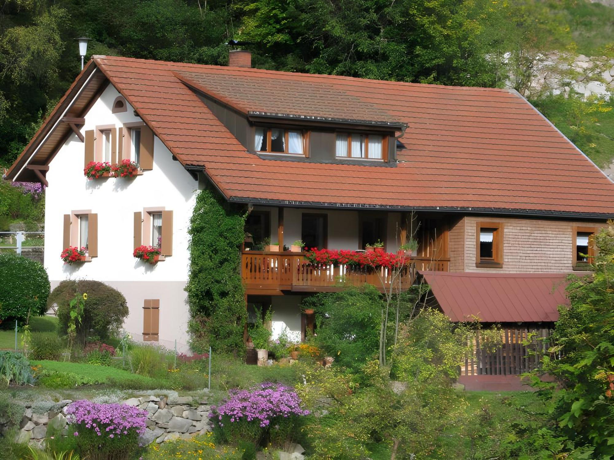 Wohnung Irene Todtnau Esterno foto